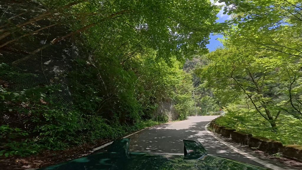 栃木県道293号庚申山公園線